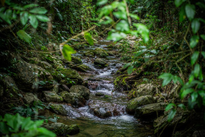 Cairns, Australia — fine art travel photography print available from Clever Tourists