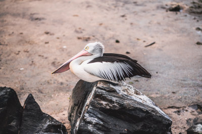 Cairns, Australia — fine art travel photography print available from Clever Tourists