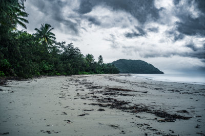 Daintree, Australia — fine art travel photography print available from Clever Tourists