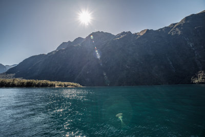 Henry Creek, New Zealand — fine art travel photography print available from Clever Tourists