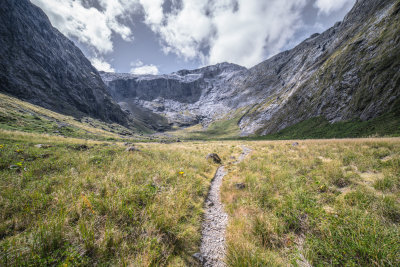 Henry Creek, New Zealand — fine art travel photography print available from Clever Tourists