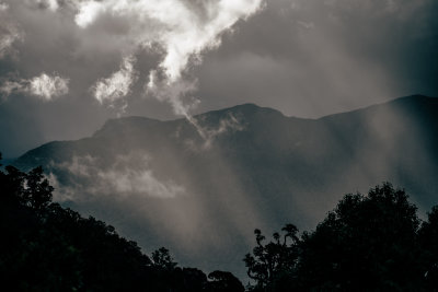 Jacksons, New Zealand