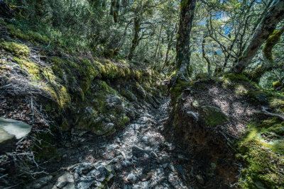 Little River, New Zealand — fine art travel photography print available from Clever Tourists