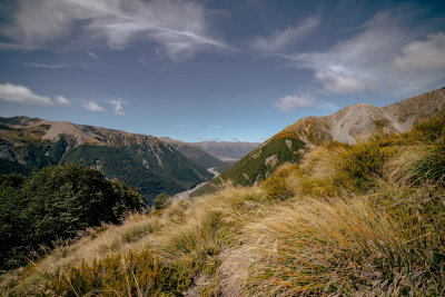 Little River, New Zealand — fine art travel photography print available from Clever Tourists