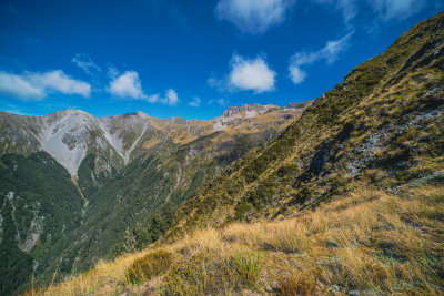 Little River, New Zealand — fine art travel photography print available from Clever Tourists