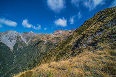 Little River, New Zealand — fine art travel photography print available from Clever Tourists