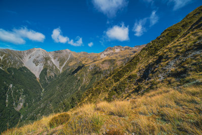 Little River, New Zealand — fine art travel photography print available from Clever Tourists