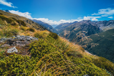Little River, New Zealand — fine art travel photography print available from Clever Tourists
