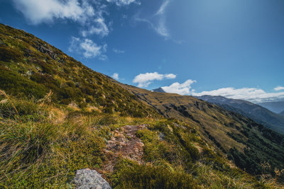 Little River, New Zealand — fine art travel photography print available from Clever Tourists