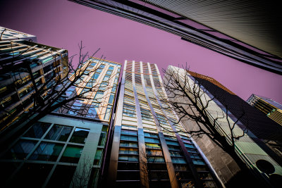 Tokyo, Japan — fine art travel photography print available from Clever Tourists
