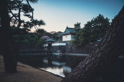 Tokyo, Japan — fine art travel photography print available from Clever Tourists
