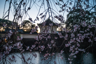 Tokyo, Japan — fine art travel photography print available from Clever Tourists