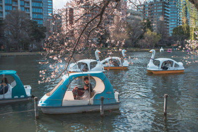 Tokyo, Japan — fine art travel photography print available from Clever Tourists