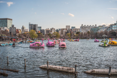 Tokyo, Japan — fine art travel photography print available from Clever Tourists