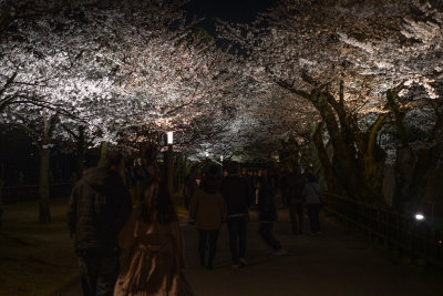 Kanazawa, Japan — fine art travel photography print available from Clever Tourists