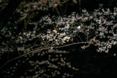 Kanazawa, Japan — fine art travel photography print available from Clever Tourists