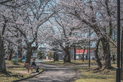 Kanazawa, Japan — fine art travel photography print available from Clever Tourists