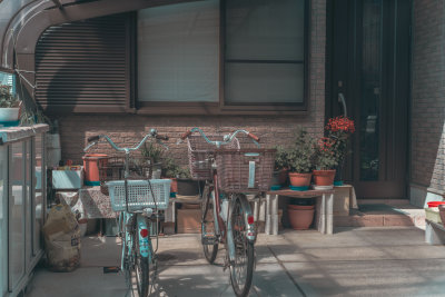 Kyoto, Japan — fine art travel photography print available from Clever Tourists