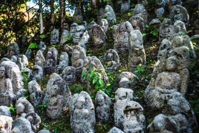 Kyoto, Japan — fine art travel photography print available from Clever Tourists