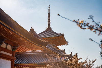 Kyoto, Japan — fine art travel photography print available from Clever Tourists
