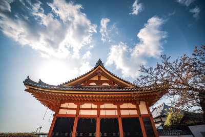 Kyoto, Japan — fine art travel photography print available from Clever Tourists