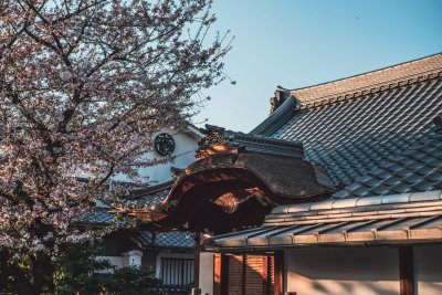 Kyoto, Japan