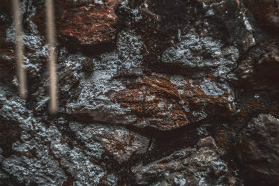 Wet Stone Striations, Kyoto, Japan