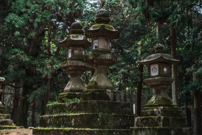 Nara, Japan — fine art travel photography print available from Clever Tourists