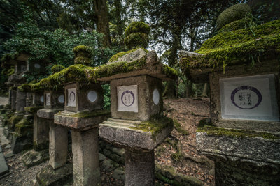Nara, Japan — fine art travel photography print available from Clever Tourists