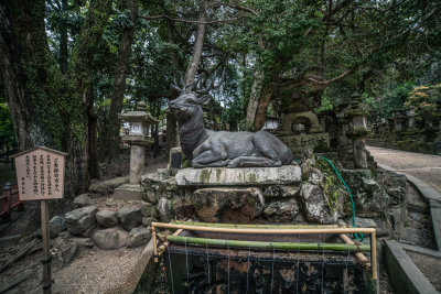 Nara, Japan — fine art travel photography print available from Clever Tourists
