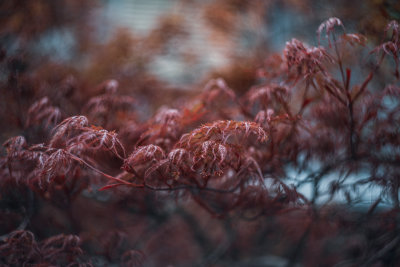 Osaka, Japan — fine art travel photography print available from Clever Tourists