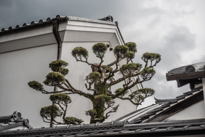 Osaka, Japan — fine art travel photography print available from Clever Tourists