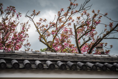 Osaka, Japan — fine art travel photography print available from Clever Tourists