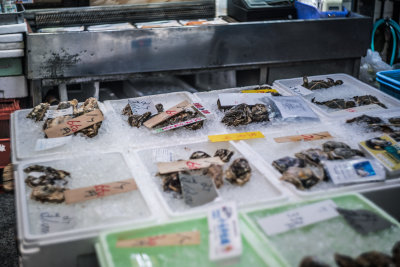 Osaka, Japan — fine art travel photography print available from Clever Tourists