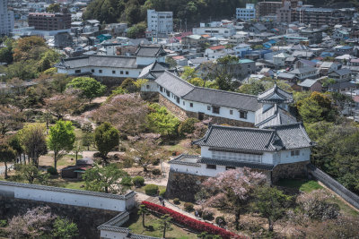 Himeji, Japan — fine art travel photography print available from Clever Tourists