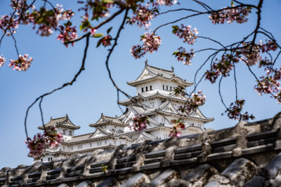 Himeji, Japan — fine art travel photography print available from Clever Tourists