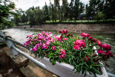 Da Lat, Vietnam — fine art travel photography print available from Clever Tourists