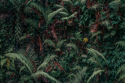 Da Lat, Vietnam — fine art travel photography print available from Clever Tourists