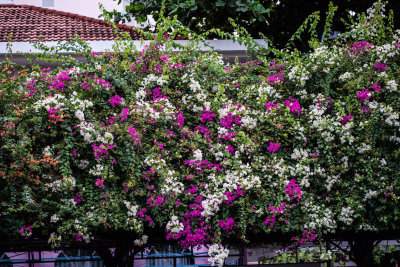 Nha Trang, Vietnam — fine art travel photography print available from Clever Tourists