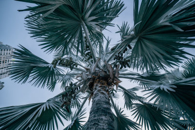 Ho Chi Minh City, Vietnam — fine art travel photography print available from Clever Tourists