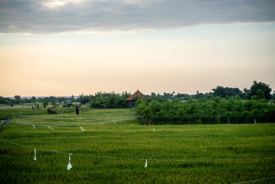 Munduk, Indonesia — fine art travel photography print available from Clever Tourists