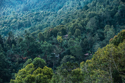 Munduk, Indonesia — fine art travel photography print available from Clever Tourists