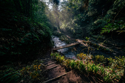 Munduk, Indonesia — fine art travel photography print available from Clever Tourists