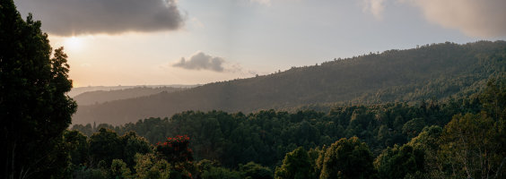 Munduk, Indonesia — fine art travel photography print available from Clever Tourists