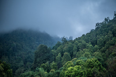 Munduk, Indonesia — fine art travel photography print available from Clever Tourists