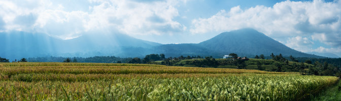 Ubud, Indonesia — fine art travel photography print available from Clever Tourists