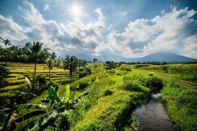 Ubud, Indonesia — fine art travel photography print available from Clever Tourists