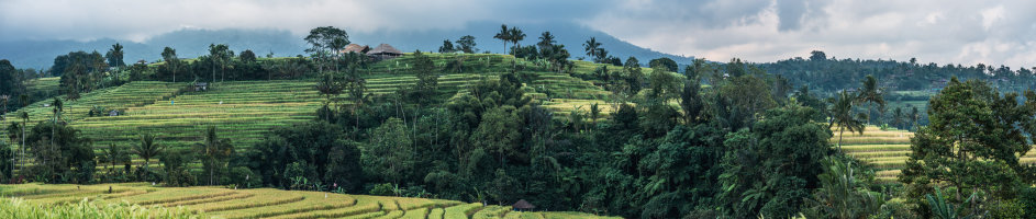 Ubud, Indonesia