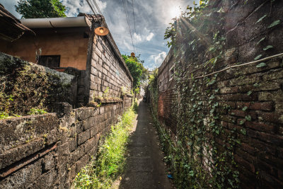 Ubud, Indonesia — fine art travel photography print available from Clever Tourists