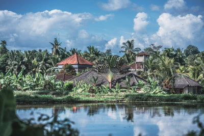 Ubud, Indonesia — fine art travel photography print available from Clever Tourists